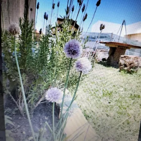 Casa Na Natureza
